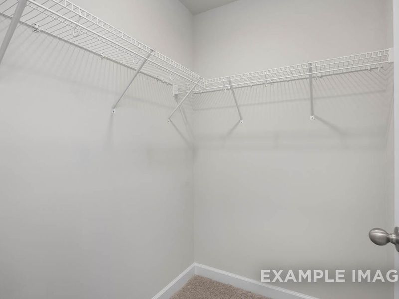 Spacious, unfurnished interior of a new home in Gregory Village, Lillington (Image 24).