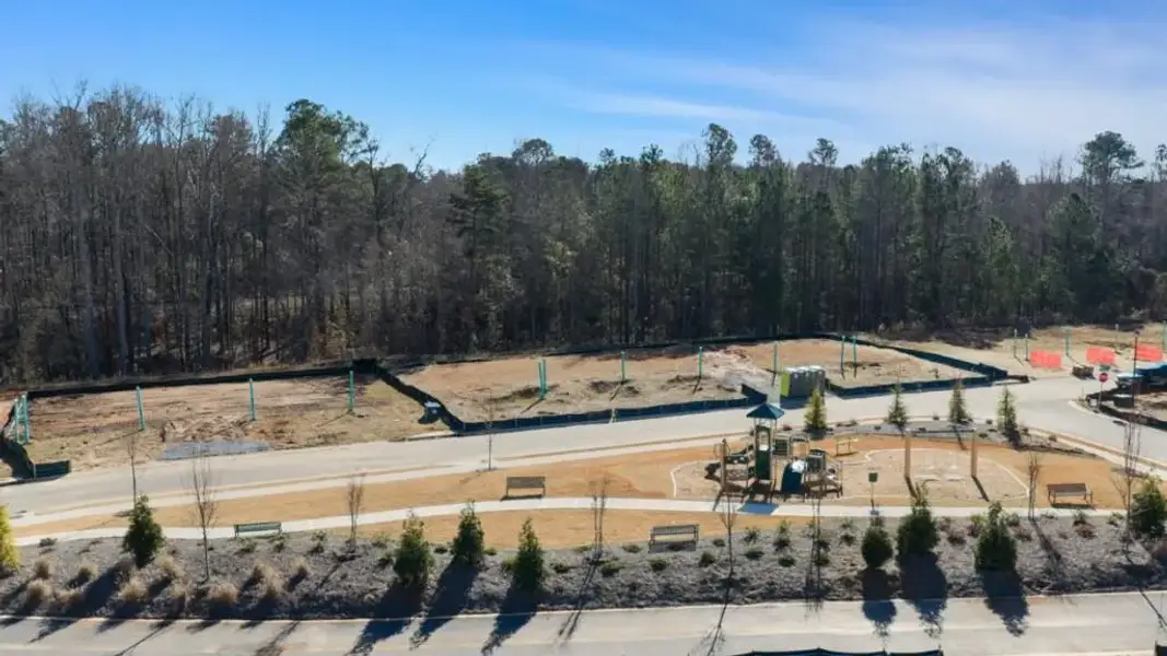 Site preparation for new homesites in Waypoint, Flowery Branch (Image 27).