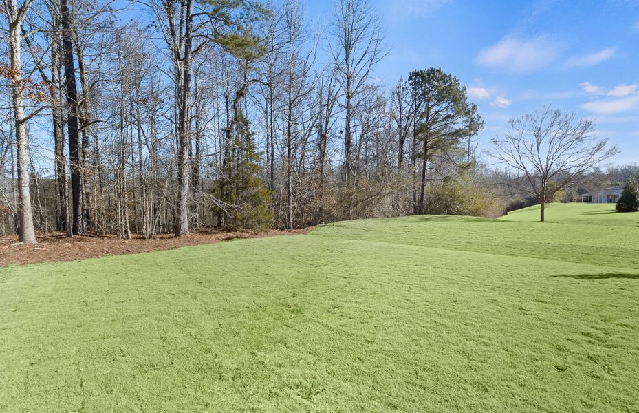 Outdoor and nature views near homes built from the Compass by Del Webb in Sun City Peachtree, Griffin (Image 32).