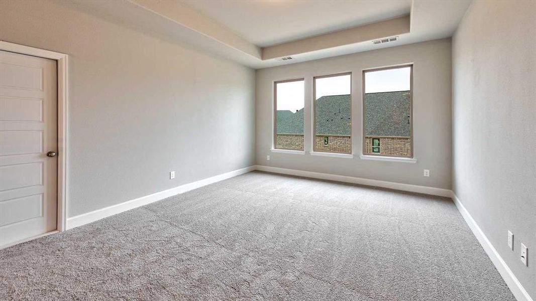 Carpeted room with a raised ceiling