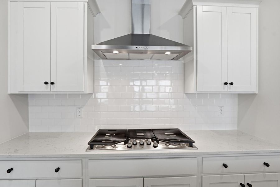 Close-up of interior finishes inside a home in Horizons at Summers Corner | 55+, Summerville (Image 20).