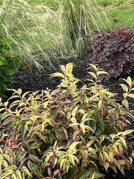 Image 186 of a home in . Image 186 of a home in .