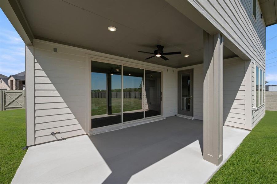 1550 Ginger- Back-3 1550 Ginger- Back-3