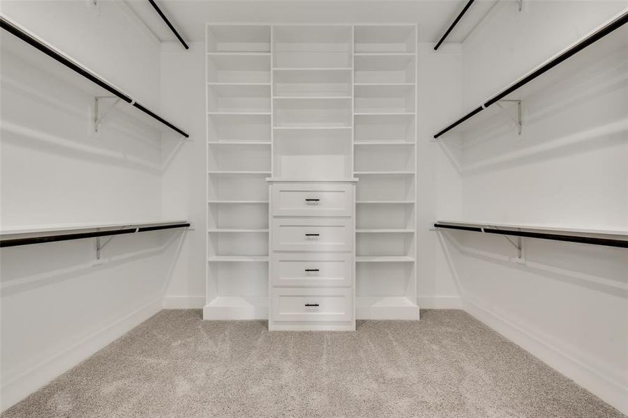 Spacious closet featuring light carpet