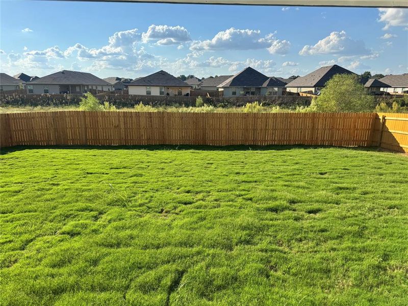 Fenced backyard with a residential view Fenced backyard with a residential view