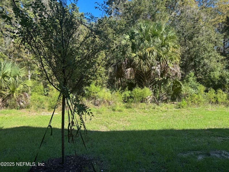Natural landscape and outdoor views near Bridgewater in St. Augustine (Image 29).