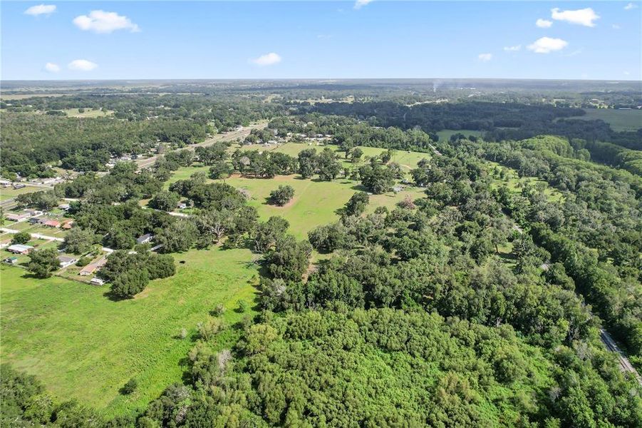 Natural landscape and outdoor views near  in Dade City (Image 9).