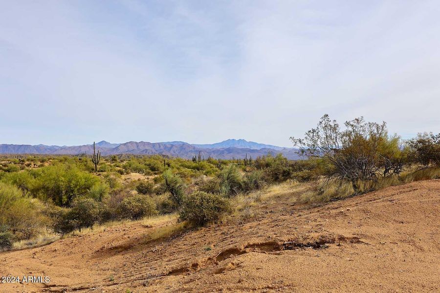 Backyard View of Four Peaks