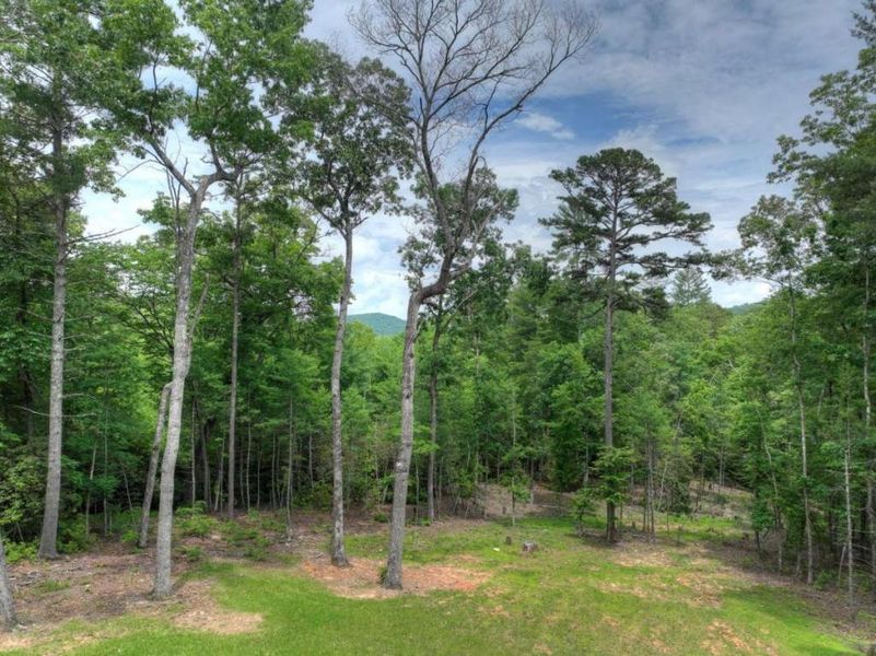 Image 52 of a home in .