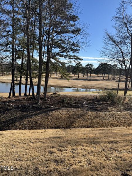 Golf Course View