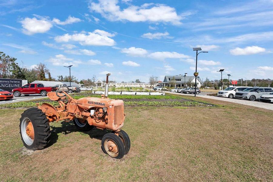 Image 57 of a home in Angeline Active Adult: Active Adult Manors. Image 57 of a home in Angeline Active Adult: Active Adult Manors.