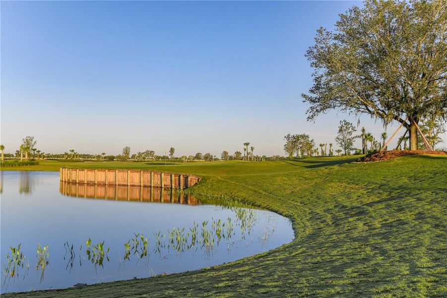 Natural landscape and outdoor views near Esplanade at Azario Lakewood Ranch in Lakewood Ranch (Image 25). Natural landscape and outdoor views near Esplanade at Azario Lakewood Ranch in Lakewood Ranch (Image 25).