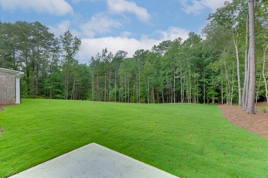 Natural landscape and outdoor views near  in Bishop (Image 52).