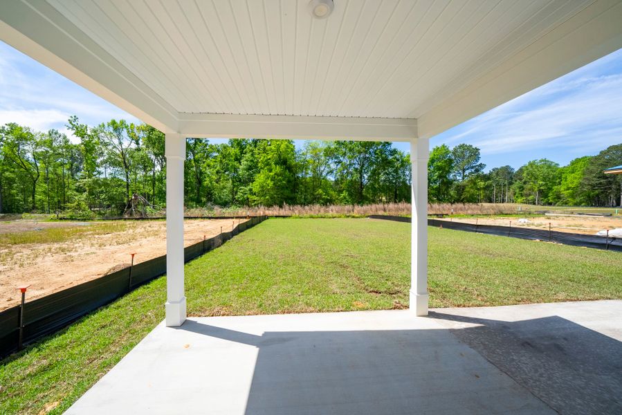 Exterior details and patio area of a home in Monroe Preserve, Chapin (Image 28).