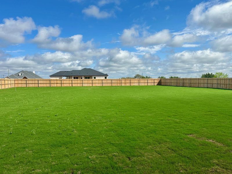 View of fenced backyard