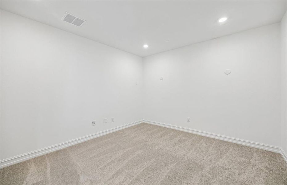 Spacious media room