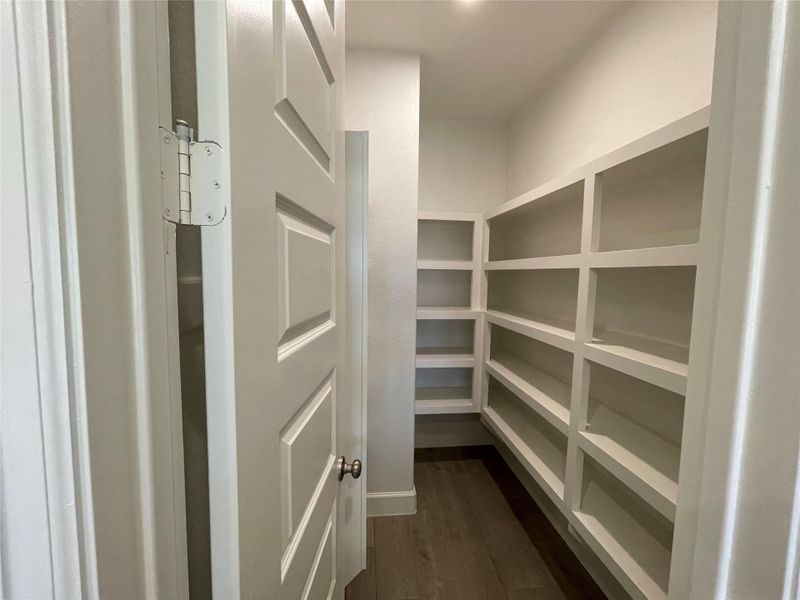 Spacious walk-in pantry featuring automatic motion-sensor lighting. Spacious walk-in pantry featuring automatic motion-sensor lighting.