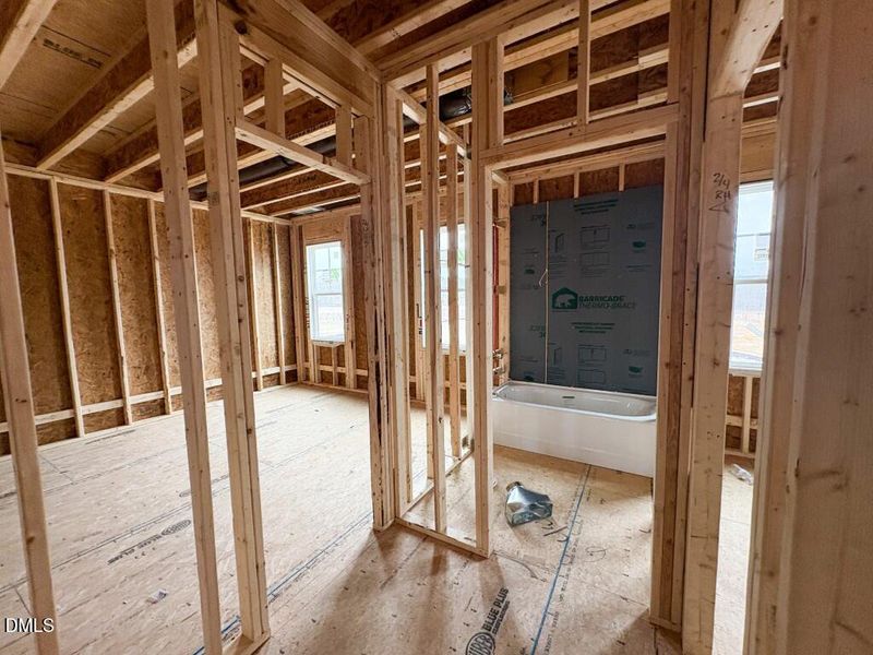 Photo Feb 04 2026, 10 40 05 AM (Medium)