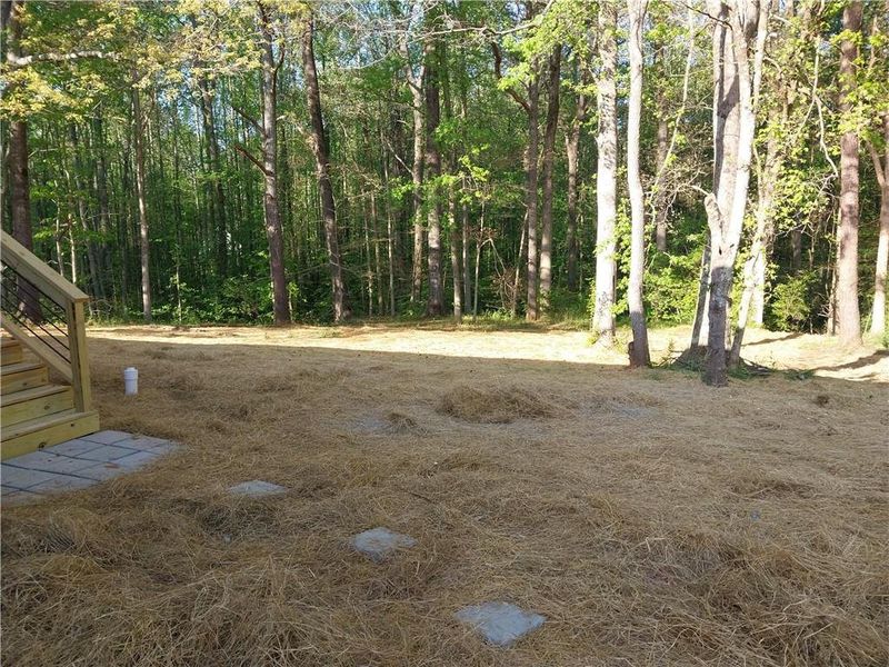Natural landscape and outdoor views near  in Dawsonville (Image 18).