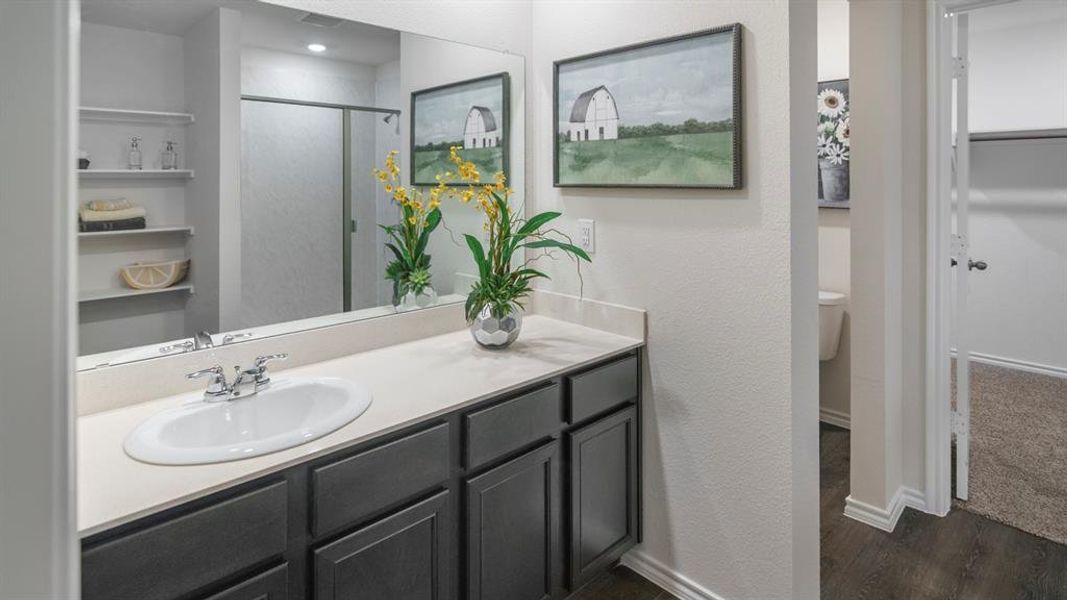 Bathroom with a spacious closet, vanity, a shower stall, and dark wood-type flooring