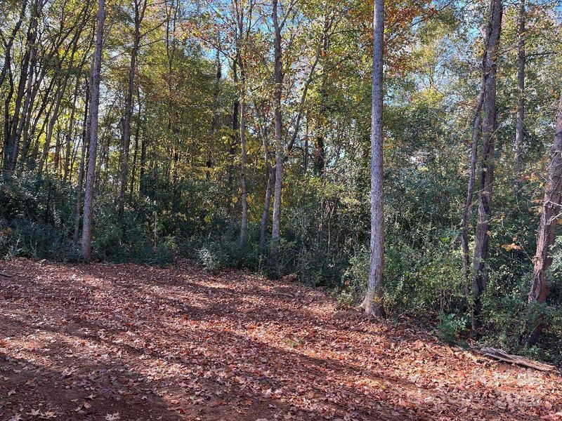 Natural landscape and outdoor views near  in Huntersville (Image 9).