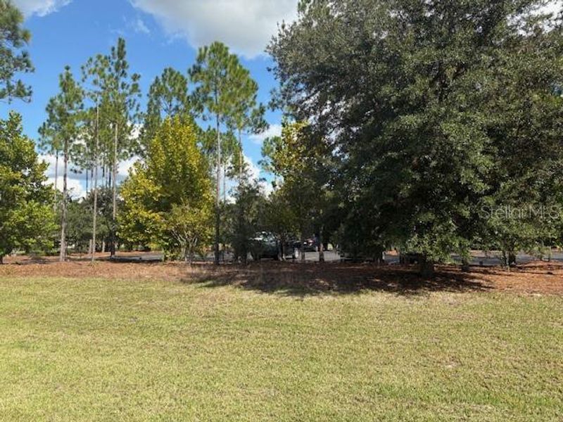 Natural landscape and outdoor views near Juliette Falls in Dunnellon (Image 4).