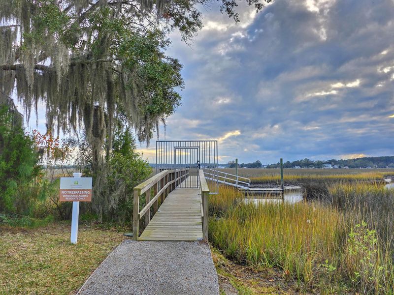 Natural landscape and outdoor views near Cordgrass Landing in Johns Island (Image 42).