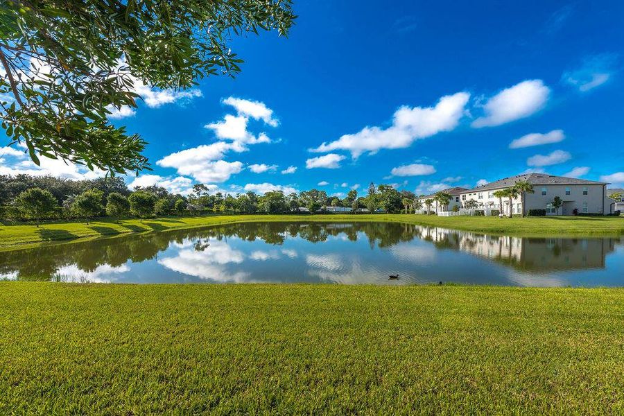 Natural landscape and outdoor views near  in West Palm Beach (Image 20).