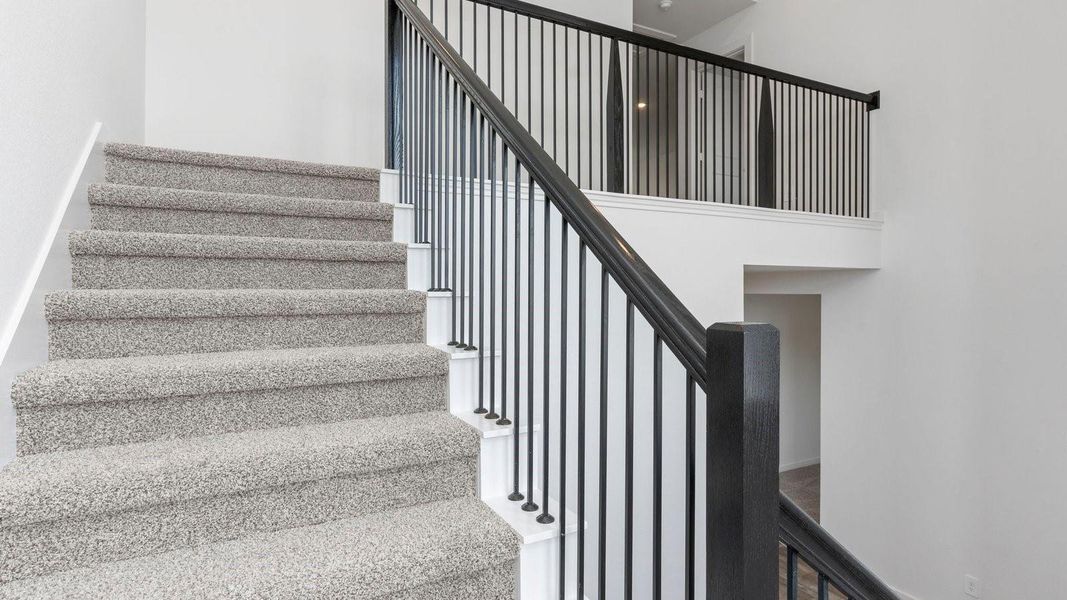 *Images and 3D tour are for illustration only and options may vary from home as built.