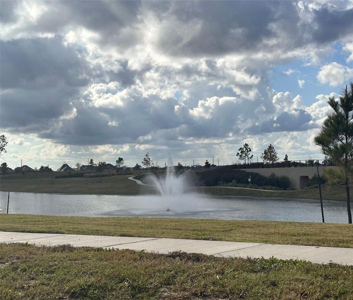 Natural landscape and outdoor views near  in Iowa Colony (Image 11).