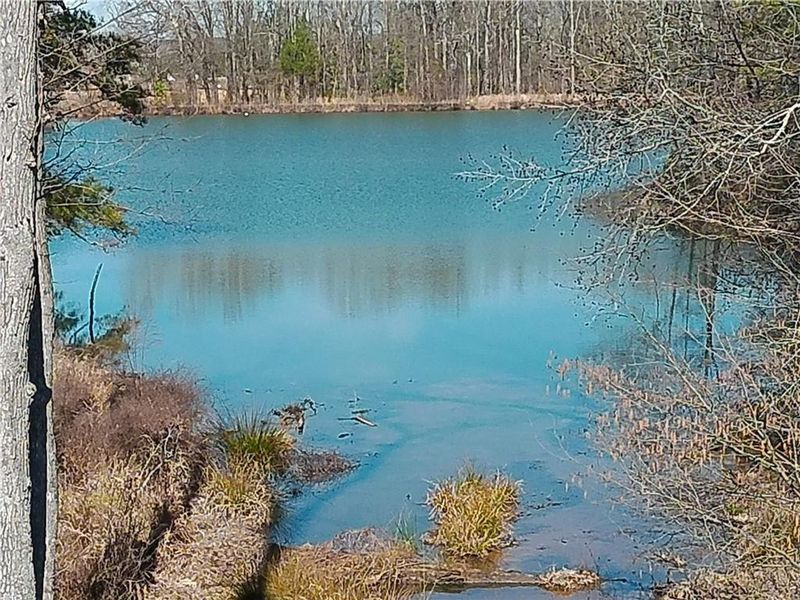 Natural landscape and outdoor views near Lake Shore in Winder (Image 24).