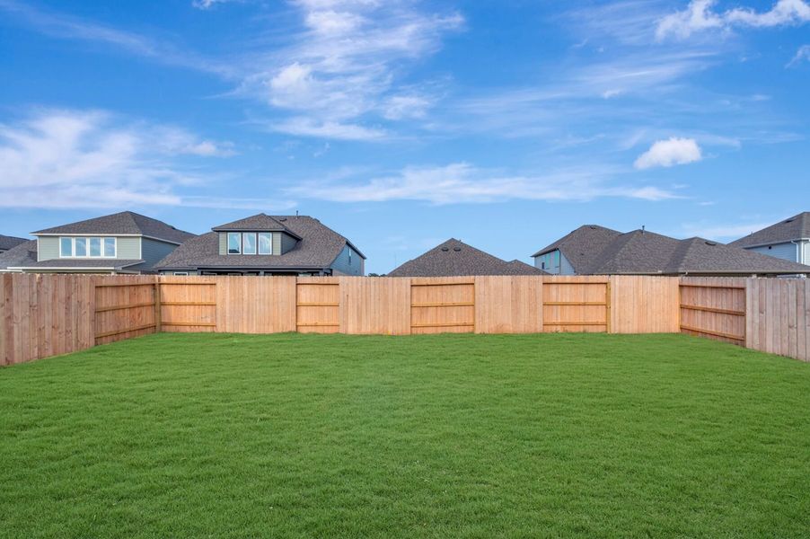 Backyard
