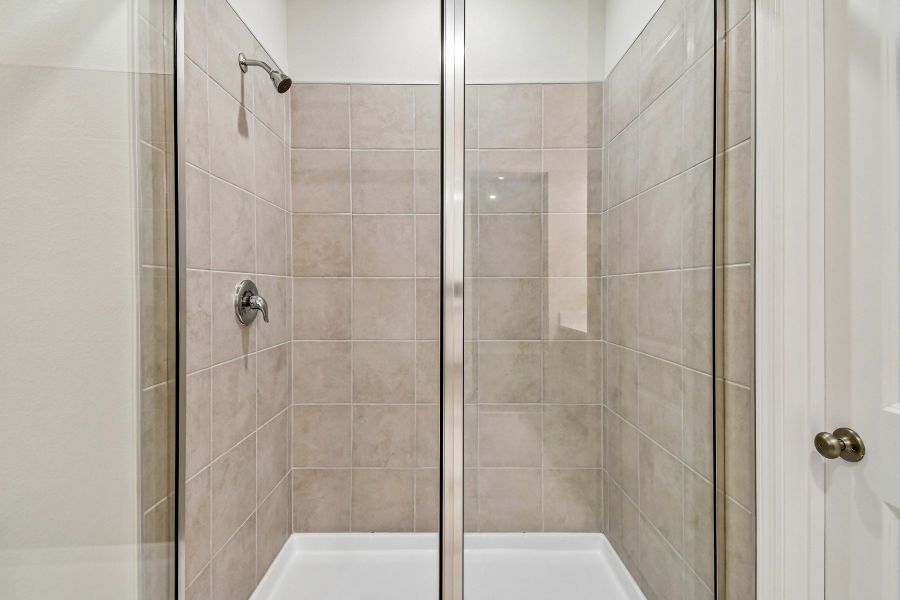 Owner's Bath