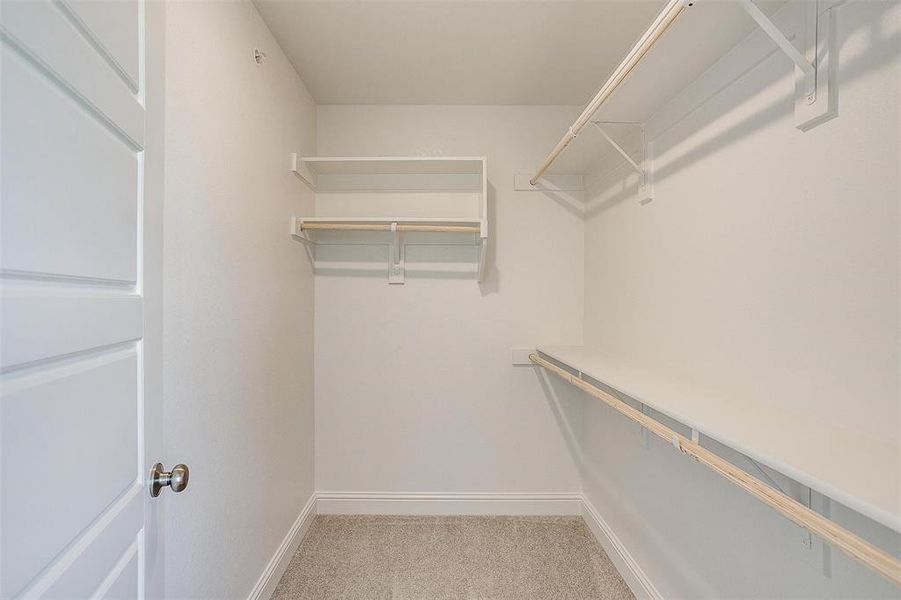 Walk in closet with light carpet