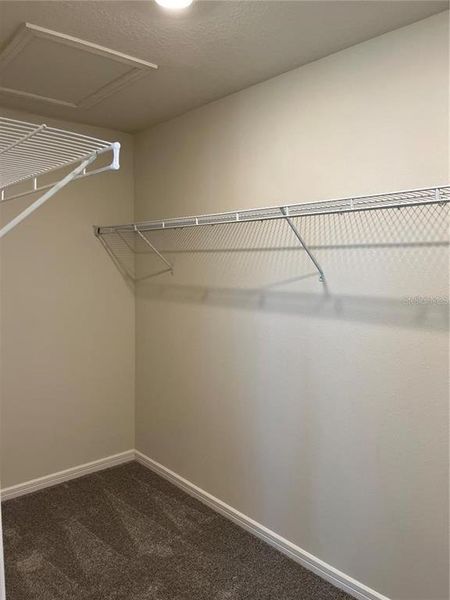 Spacious, unfurnished interior of a new home in , Davenport (Image 13).