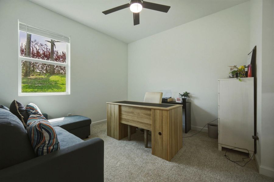 19-web-or-mls-IMG_1103