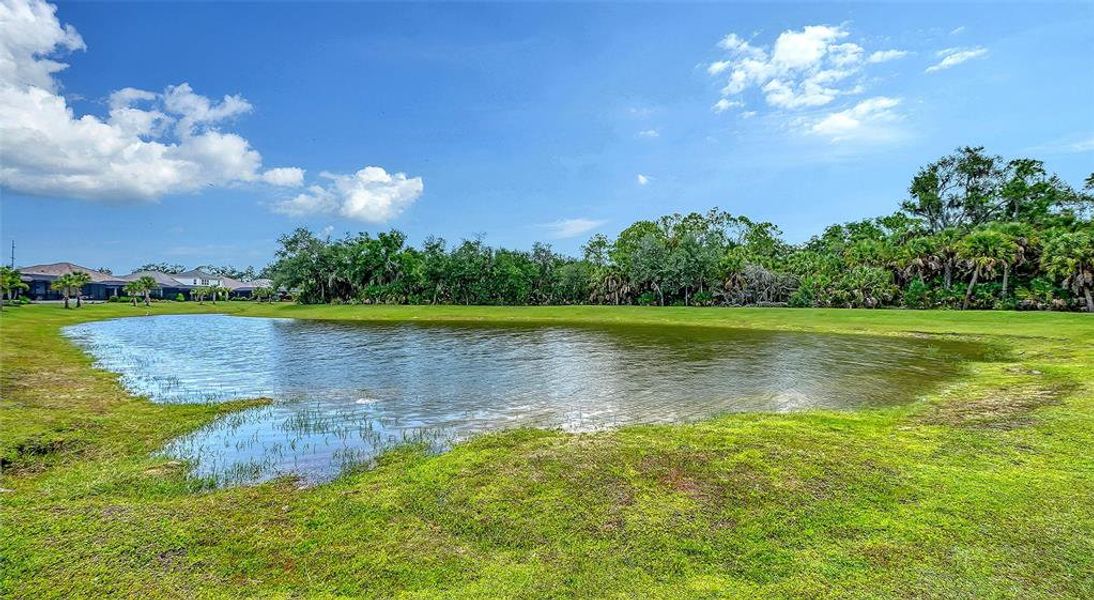 Natural landscape and outdoor views near Grand Park in Sarasota (Image 54). Natural landscape and outdoor views near Grand Park in Sarasota (Image 54).