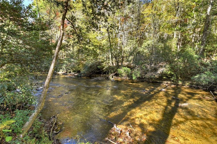 Natural landscape and outdoor views near in Blue Ridge (Image 62). Natural landscape and outdoor views near in Blue Ridge (Image 62).