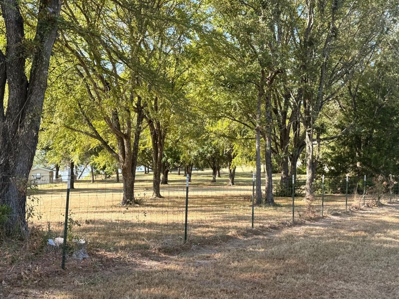 Natural landscape and outdoor views near  in Groesbeck (Image 21).