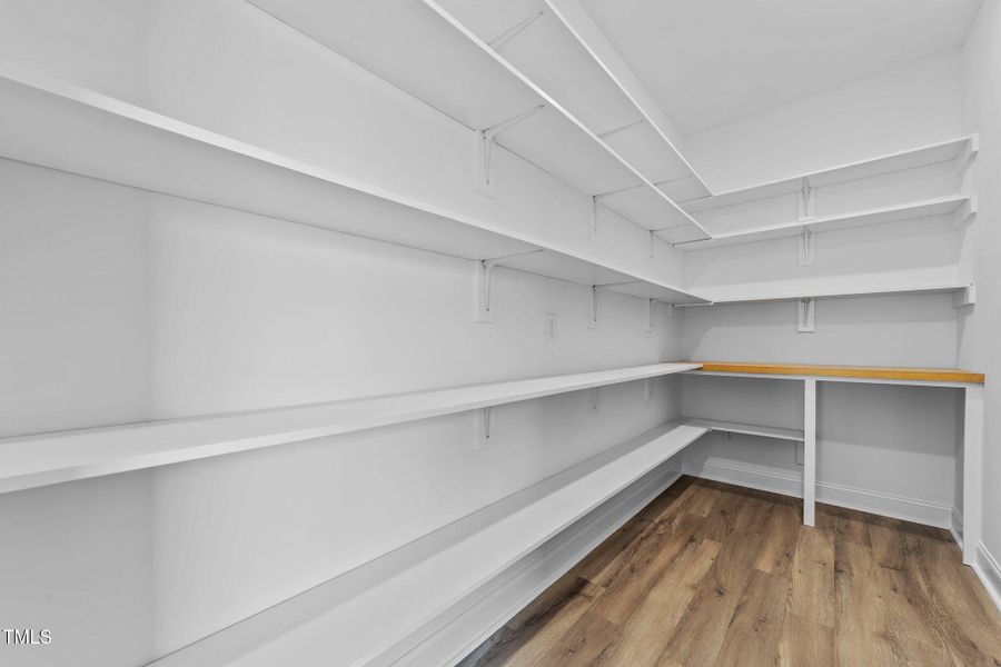 36-web-or-mls-IMG_1077