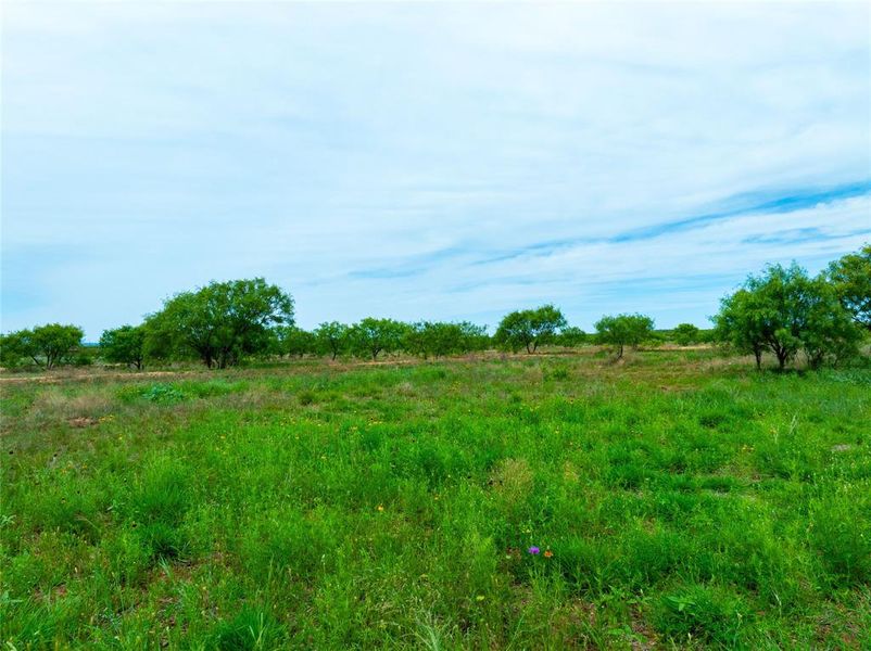 Natural landscape and outdoor views near  in Merkel (Image 5).