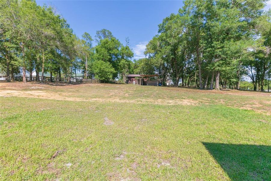 Natural landscape and outdoor views near  in Dade City (Image 48).