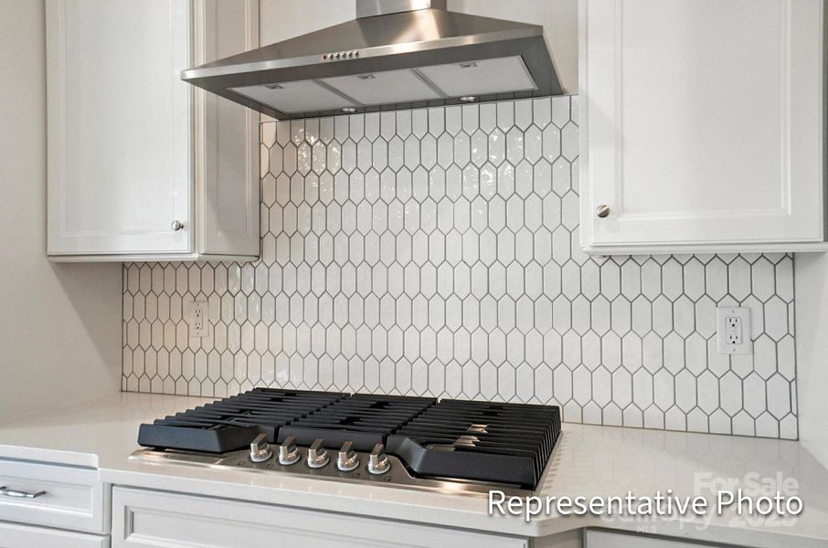 Close-up of interior finishes inside a home in Heritage - 55+ Community, Wesley Chapel (Image 10).