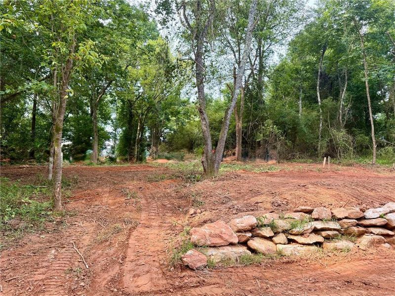 Natural landscape and outdoor views near Aster in Roswell (Image 75).