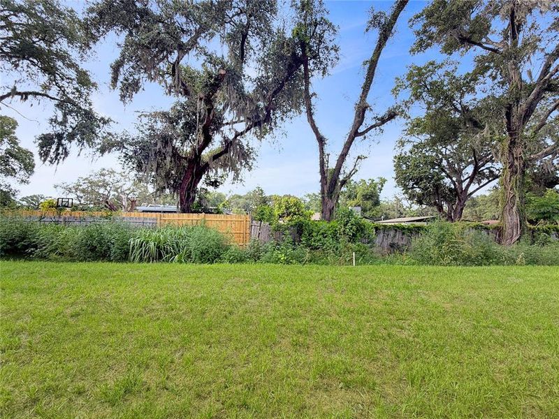 Natural landscape and outdoor views near in Tampa (Image 22). Natural landscape and outdoor views near in Tampa (Image 22).
