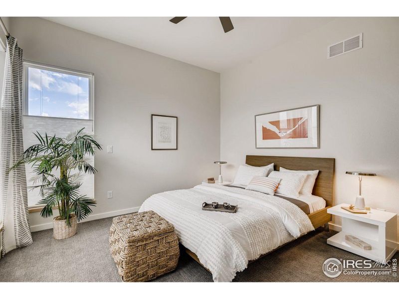 Primary Bedroom. Photos are of the model home.