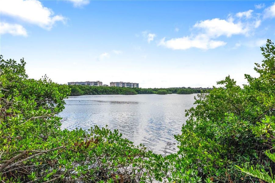 Natural landscape and outdoor views near  in Seminole (Image 17).