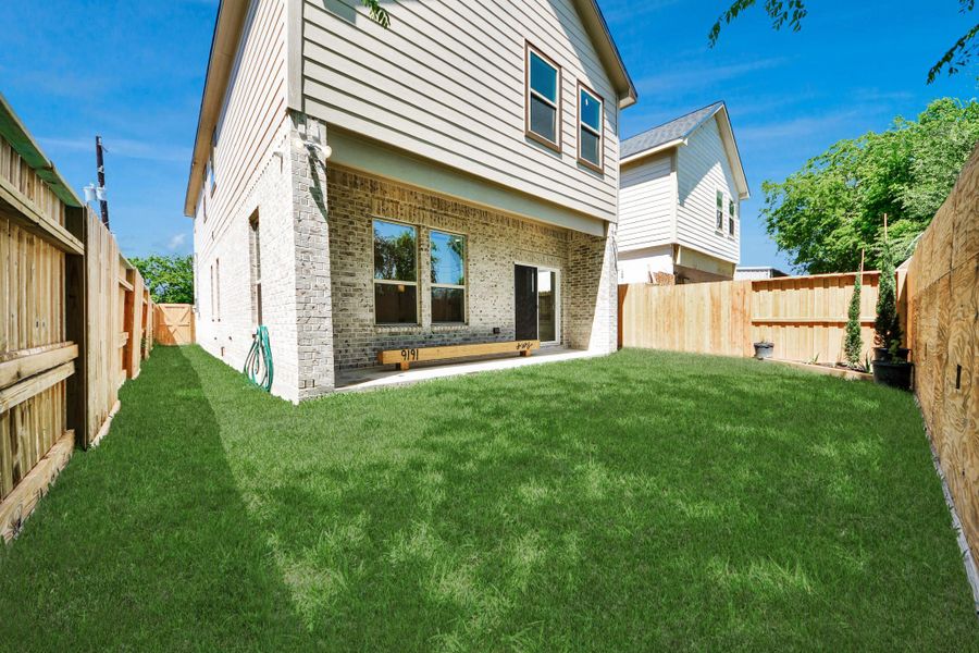 Backyard view
