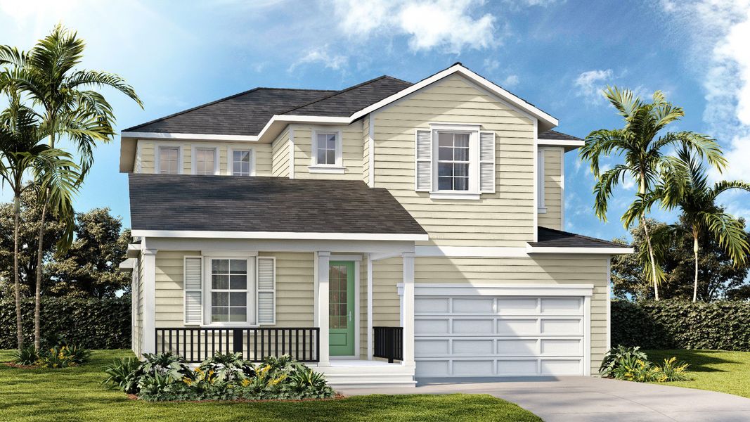 Bromeliad Louisiana French