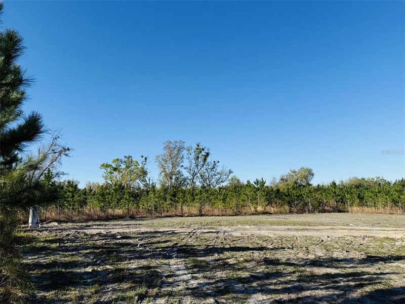 Natural landscape and outdoor views near  in Live Oak (Image 13).